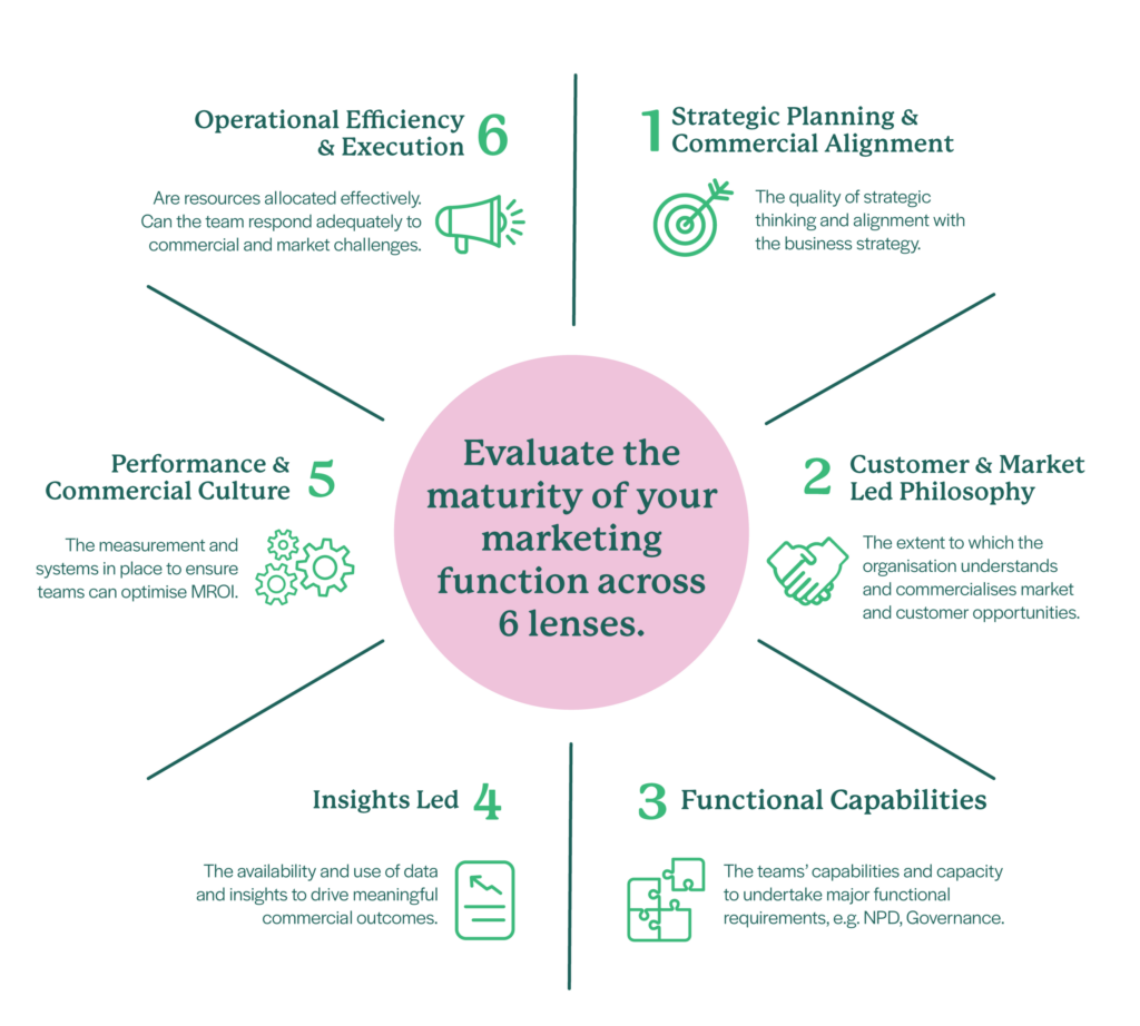 Marketing Function Audit